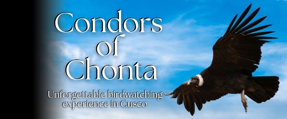 Blog List Featured Image