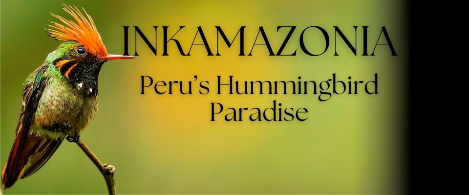 Blog List Featured Image