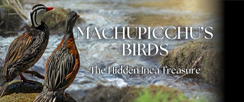 Blog List Featured Image