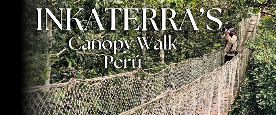 Blog List Featured Image