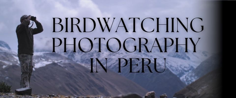 Blog List Featured Image