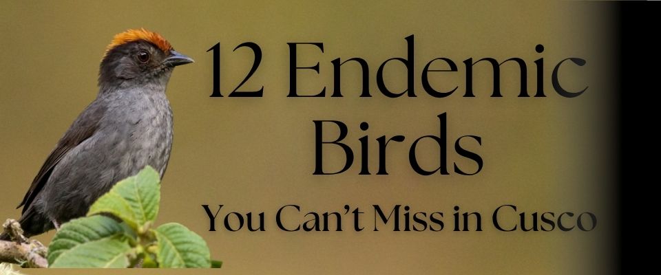 Blog List Featured Image