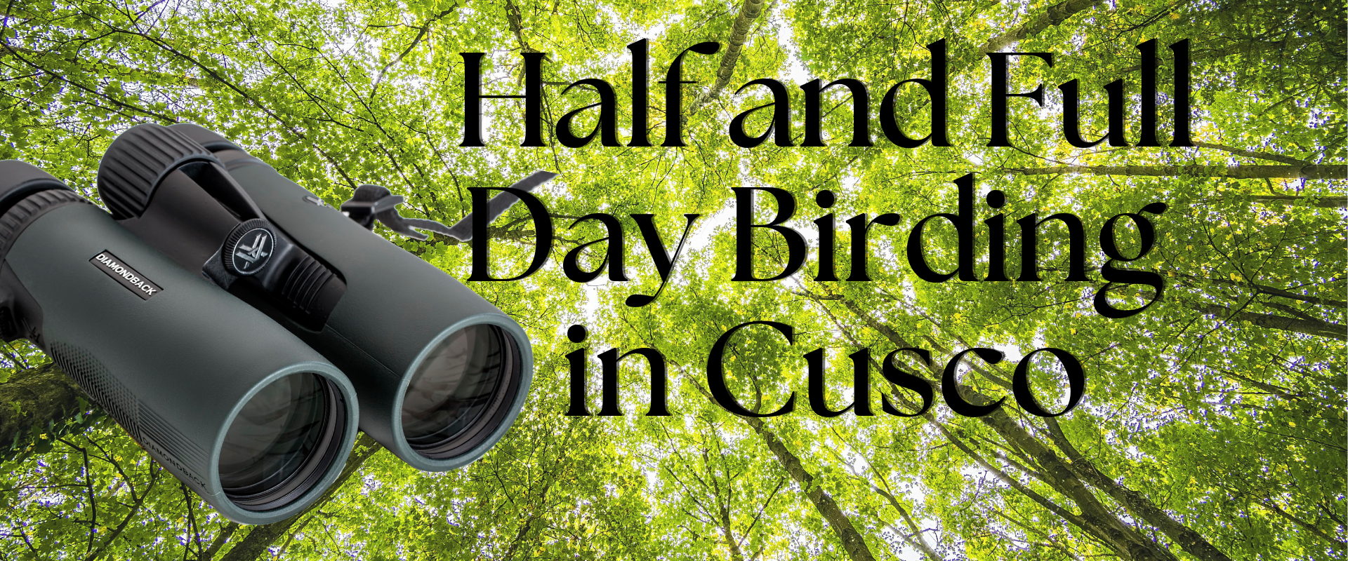 Blog List Featured Image