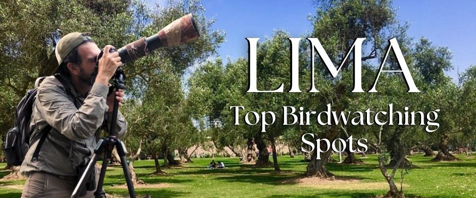 Blog List Featured Image